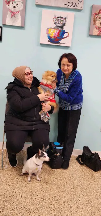 Wayne Valley Animal Hospital 2