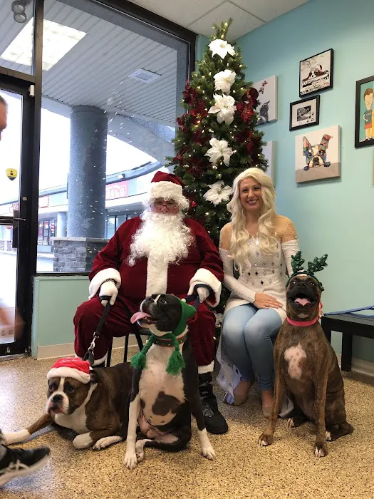 Wayne Valley Animal Hospital 9