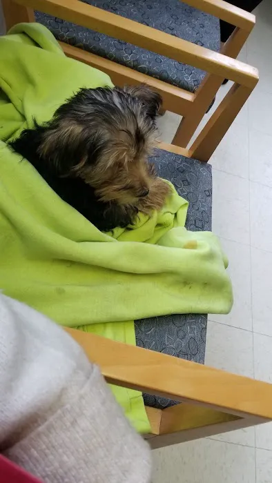 Wayne Hills Animal Hospital 1