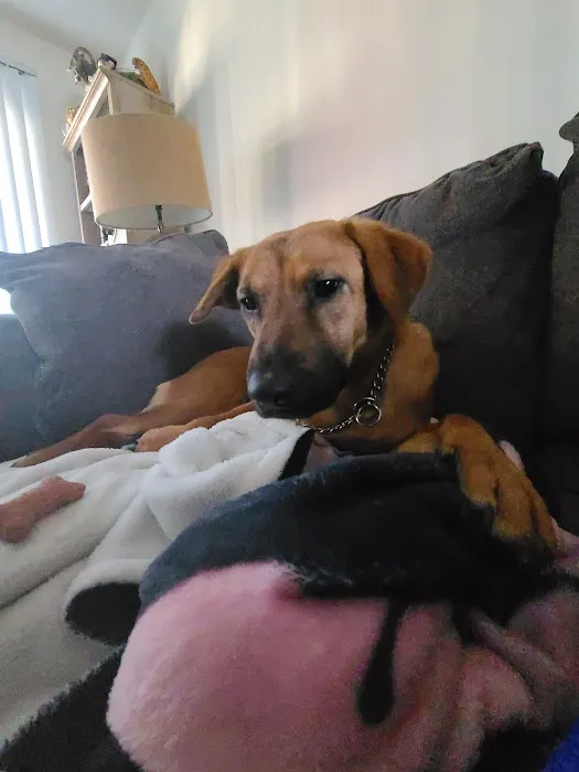 Wayne Hills Animal Hospital 6