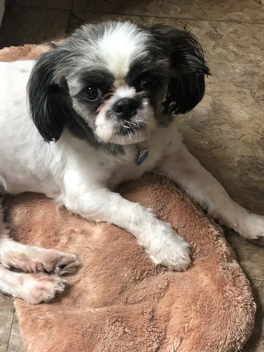 Wayne Hills Animal Hospital 7
