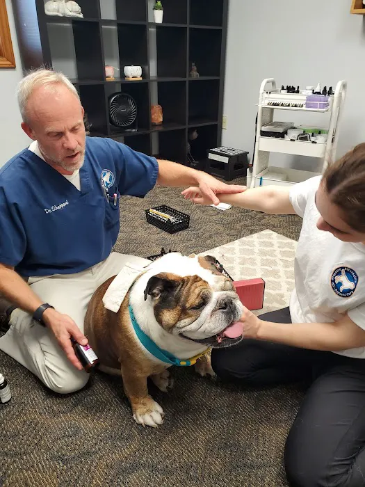 Sheppard Alternative Animal Care 12