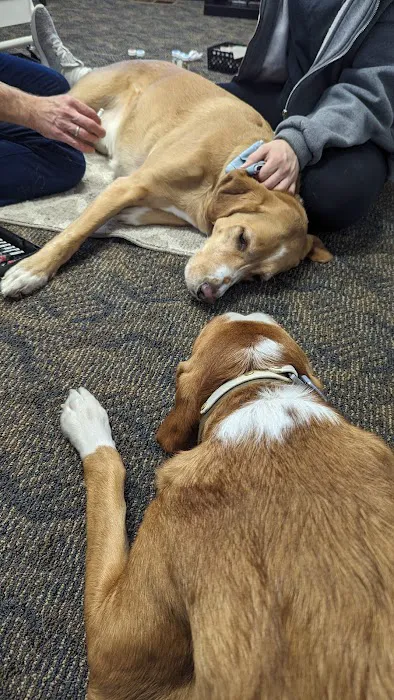 Sheppard Alternative Animal Care 12
