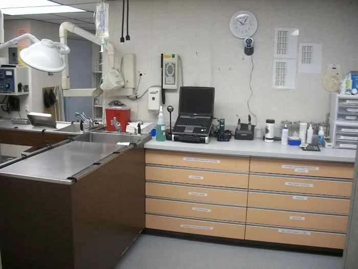 Sharp Animal Hospital 10