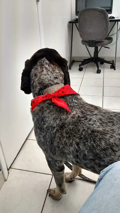 Sharp Animal Hospital 1