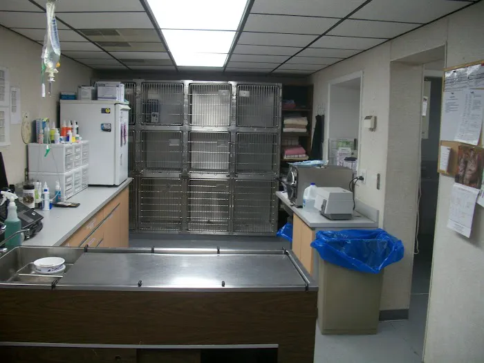 Sharp Animal Hospital 3