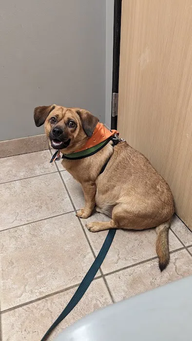 Parkway Vet 4