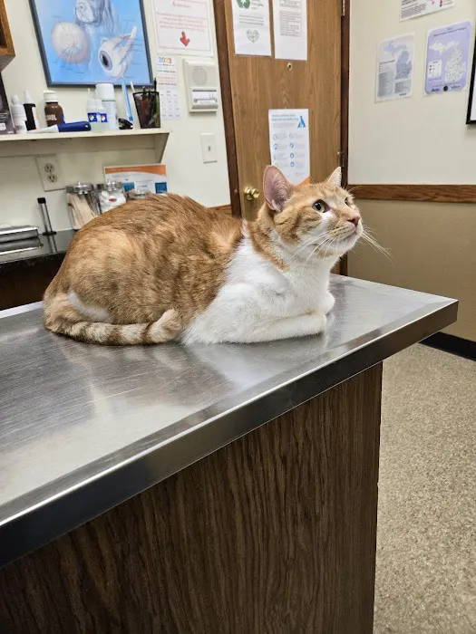 Nucci Veterinary Clinic 10