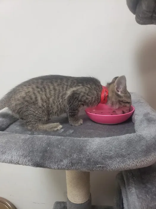 Banfield Pet Hospital 9