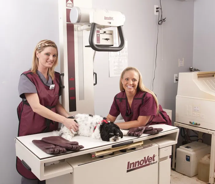 Great Lakes Animal Hospital 6