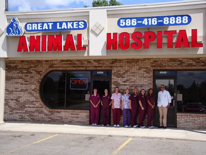 Great Lakes Animal Hospital 7