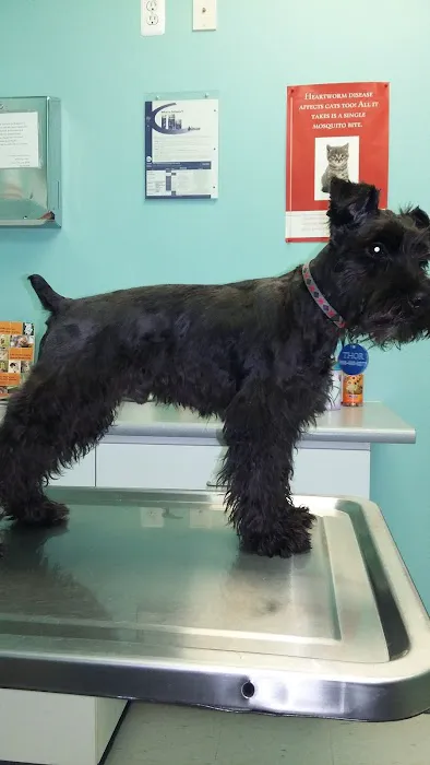 Great Lakes Animal Hospital 2