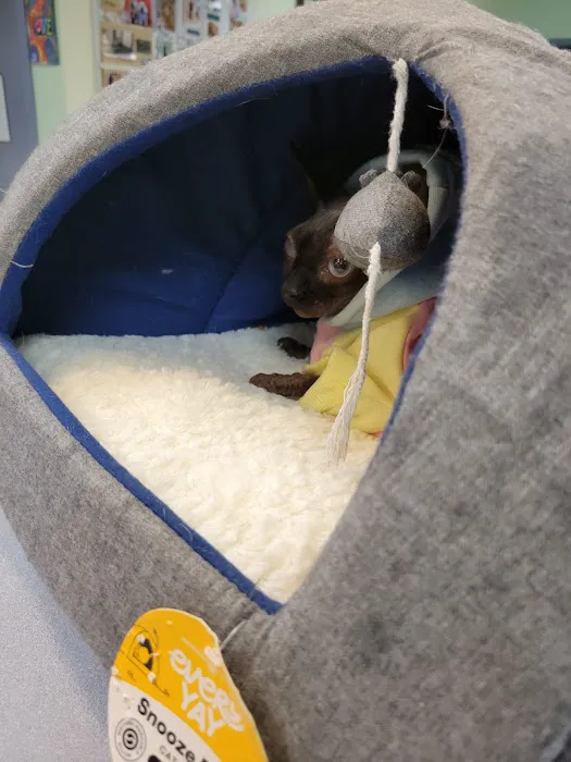 Great Lakes Animal Hospital 5