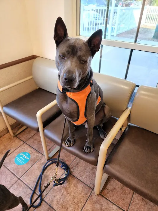 Midway Animal Hospital 12