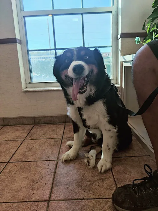 Midway Animal Hospital 12