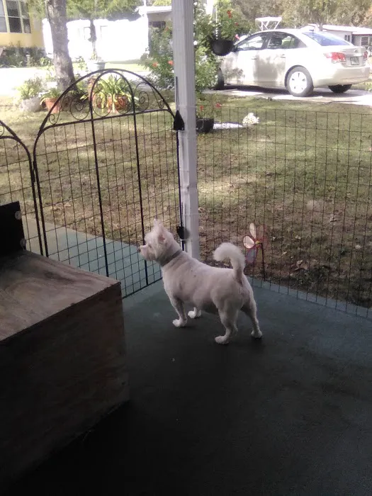 Midway Animal Hospital 12