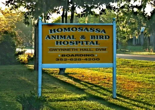 Homosassa Animal & Bird Hospital 3