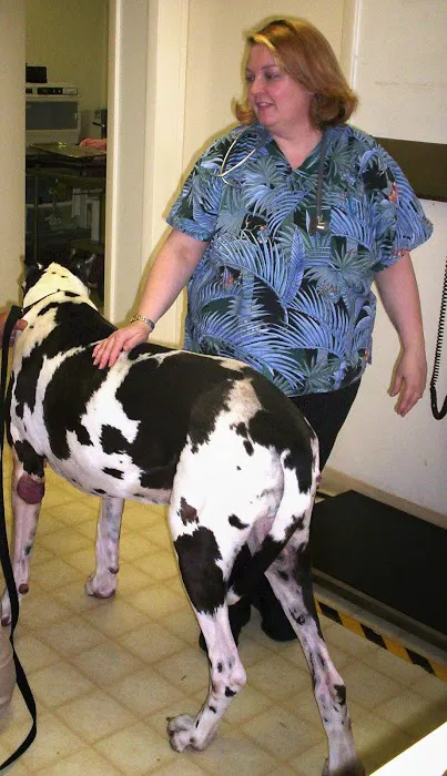 Homosassa Animal & Bird Hospital 8