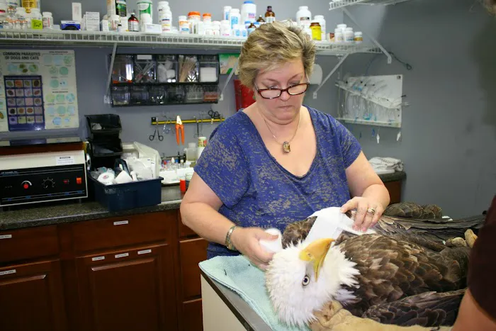Homosassa Animal & Bird Hospital 1