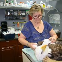 Homosassa Animal & Bird Hospital ico