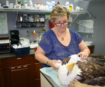 Homosassa Animal & Bird Hospital