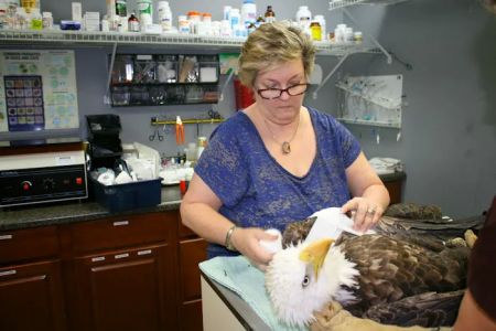 Homosassa Animal & Bird Hospital