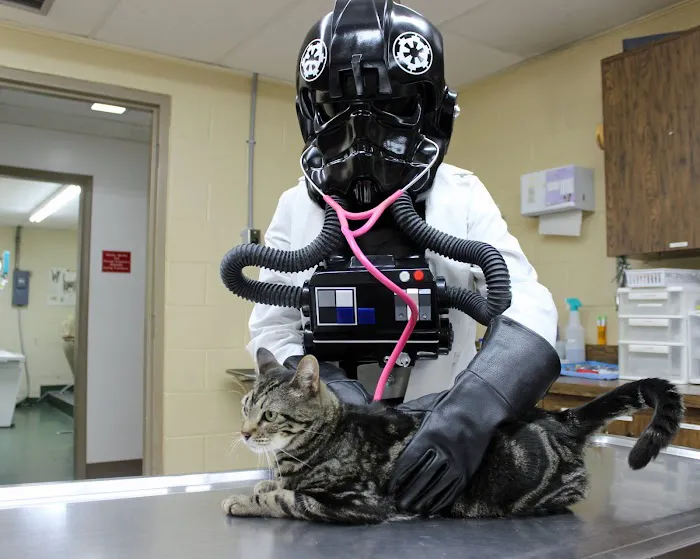 Brooksville Veterinary Clinic 12