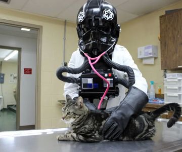 Brooksville Veterinary Clinic