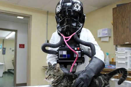 Brooksville Veterinary Clinic