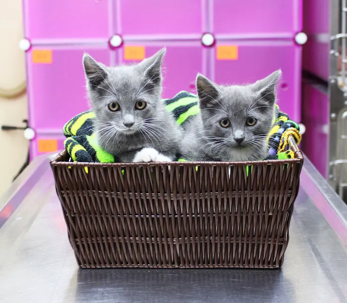 Brooksville Veterinary Clinic 12