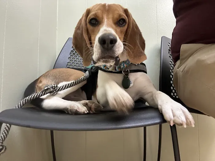 Laredo Animal Clinic 12