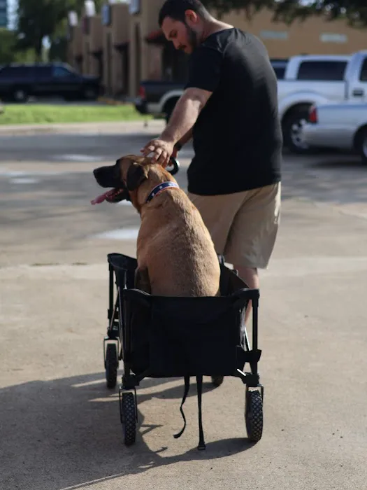 Laredo Animal Clinic 12