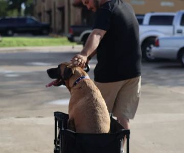 Laredo Animal Clinic