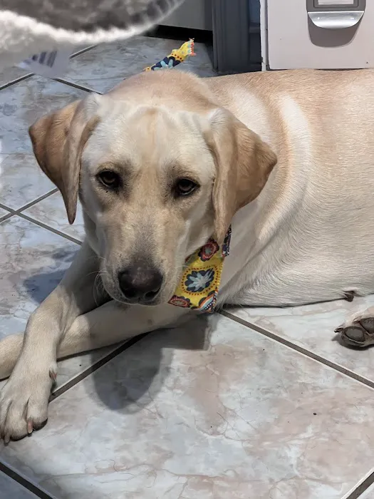Laredo Animal Clinic 12