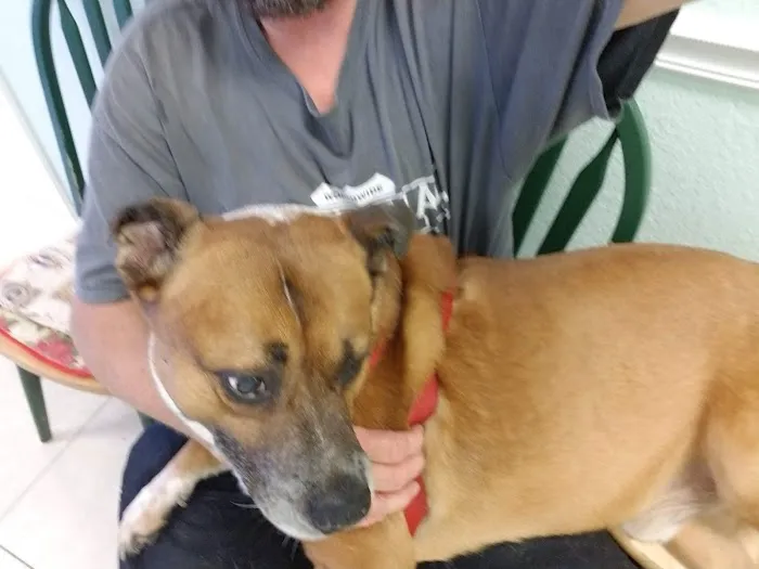 Ark & Bark Animal Hospital Debbie Butler DVM 12