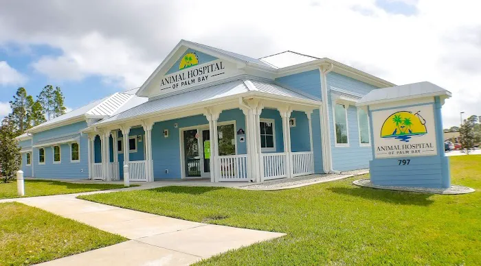 Animal Hospital of Palm Bay 1