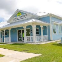 Animal Hospital of Palm Bay ico