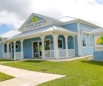 Animal Hospital of Palm Bay