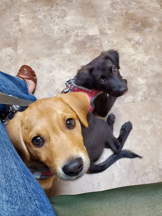 Animal Hospital of Palm Bay 7