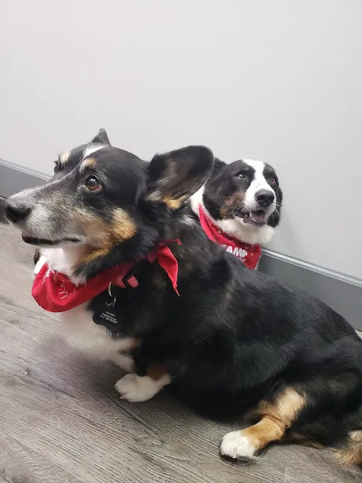 Oakview Animal Hospital 4