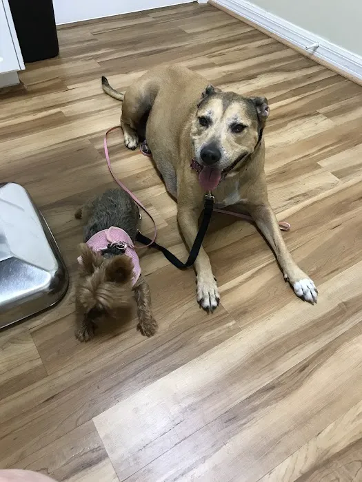 Oakview Animal Hospital 5