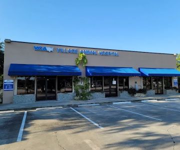 VCA Village Animal Hospital