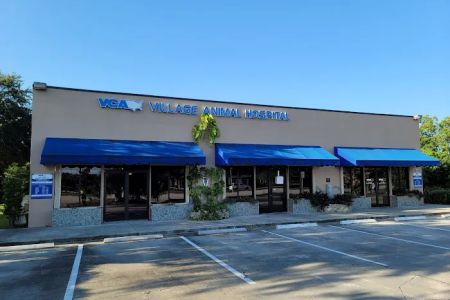VCA Village Animal Hospital