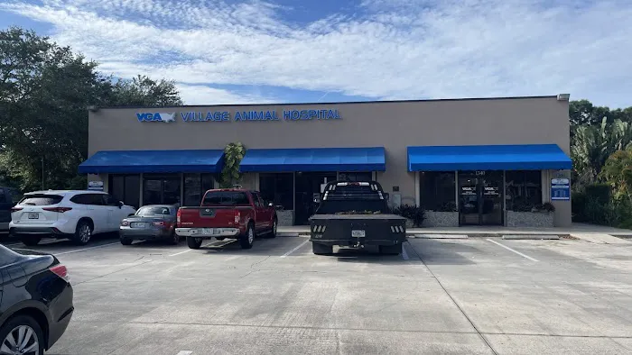 VCA Village Animal Hospital 12