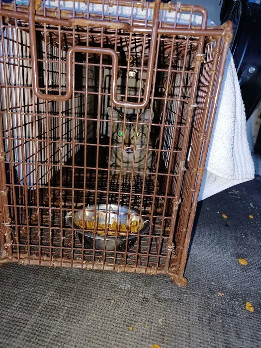 Brevard Spay/Neuter Clinic 12