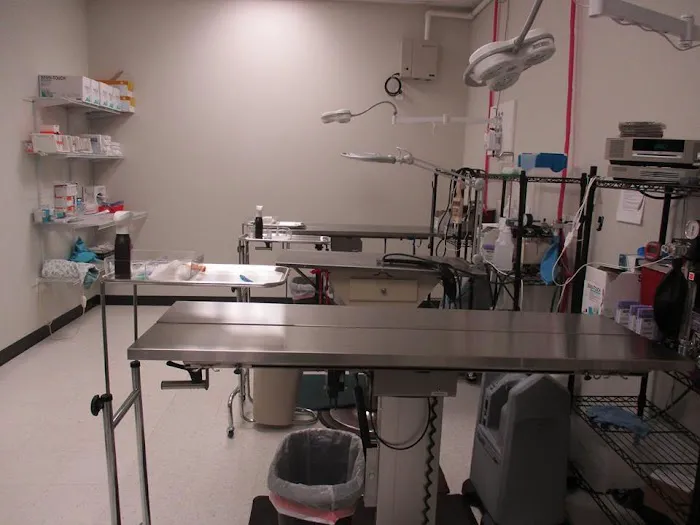 Brevard Spay/Neuter Clinic 12