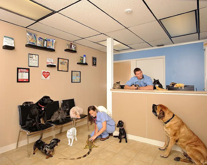 Palm Bay Animal Clinic 2