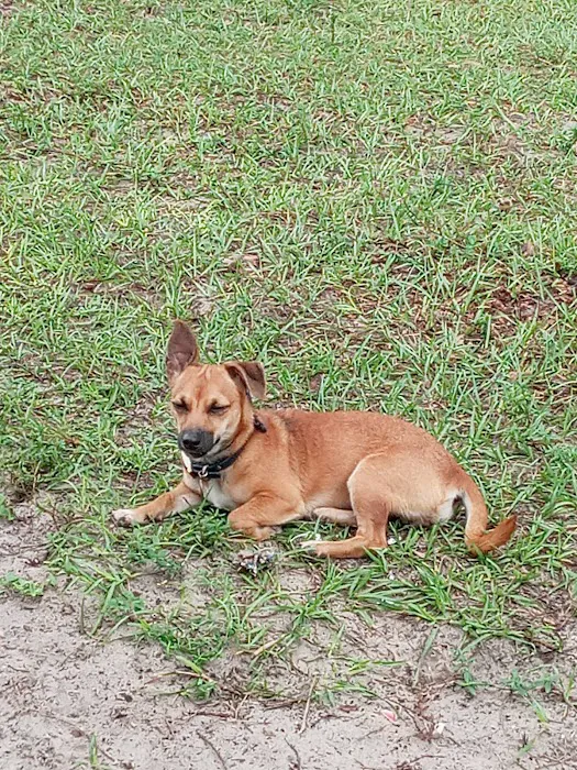 Spay & Neuter Center 12