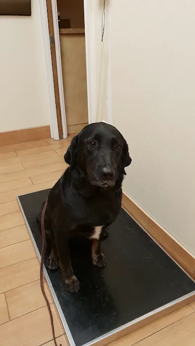 Dogwood Animal Clinic 2