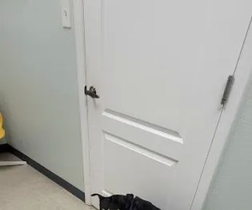Loving Paws Animal Hospital